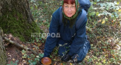 Медики выявили полезные свойства ноябрьских грибов в Ярославле