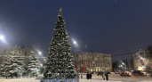 В Ярославле начали устанавливать новогодние елки