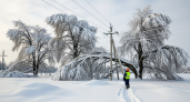 В Переславле энергетики борются с деревьями на линиях: 24 человека на помощь