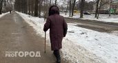 Ярославна "подтвердила статус ветерана труда" почти за 4 миллиона