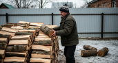 Печник раскрыл секрет: какие дрова греют лучше всего и экономят бюджет на отопление