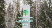 «Сосновый бор» и «Искра» сливаются: к маю в Ярославской области появится единый оздоровительный холдинг