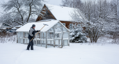 Сделай эти 7 вещей на даче в феврале: соседи будут завидовать твоему урожаю 