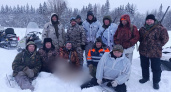 В Ярославской области прошла охота на  волков