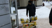 Сколько стоят цветы к 8 Марта в Ярославле: улица, магазины, доставка