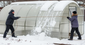 45 тысяч ушли за одну ночь: как я перестал верить продавцам теплиц и научился укреплять каркас за 15 минут — теперь снегопады не страшны