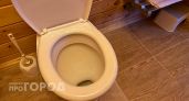 Унитаз больше не чищу: таблетка, о которой молчат продавцы, делает все сама