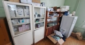 В Пошехонье ветеринарная аптека провалила проверку: лекарства лежали рядом с просрочкой