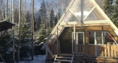 Работающий глэмпинг с прудом и четырьмя домиками продают под Ярославлем