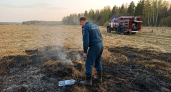 За сутки в Ярославской области вспыхнули 14 палов травы на гектаре
