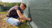 Сделал забор на даче за один день без лишних трат: результат выглядит дорого, а соседи постоянно спрашивают цену