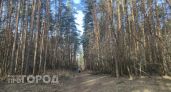 Кусты не вырубил — срок не продлил: Россельхознадзор ведет ярославского землевладельца в мировой суд