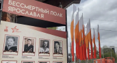 В Ярославле снова установят стенды «Бессмертного полка» — принимают фото до 28 апреля