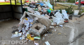 3 000 рублей за выброс мусора: эксперт по ЖКХ предупредил о неожиданном штрафе для жителей