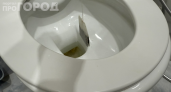 Уходите из дома — кидайте чайный пакетик в унитаз: секрет горничных для идеально чистого туалета