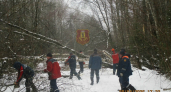  Спасатели расчистили дороги и вернули свет в деревни Переславского района 