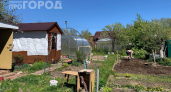 Скажите сорнякам «пока-пока»: 5 хитростей, которые избавят от прополки навсегда 