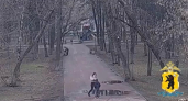 "Кот" вывел на след: как пароль помог задержать юного курьера мошенников в Ярославле
