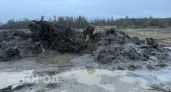 Власти подтвердили незаконный слив жижи у реки Великой в Ярославской области