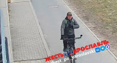 Не смог разъехаться — смог плюнуть: ярославские власти охотятся за хамом на двух колесах