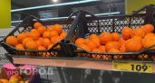 1000 рублей и два пакета продуктов: Чижик наполнился новинками, а вся семья радуется "богатому" холодильнику