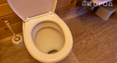 Дети пьют каждый день, а я чищу унитаз: оказалось, это разъедает даже мочевой камень — результат за час