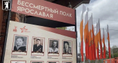В центре Ярославля разместят мобильные стенды «Бессмертного полка», снимки героев ВОВ принимают через онлайн‑форму