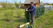 Конец эпохи профлиста и тени на грядках: 3 причины сменить ограждение на «турецкое чудо» — интрига идеального забора в законе