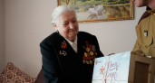 Помощник Президента Дмитрий Миронов направил ярославским ветеранам подарки и поздравил их с Днем Победы