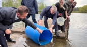 Школьники выпустили мальков стерляди в пруд Петропавловского парка Ярославля