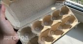 Перестала выбрасывать яичные лотки: теперь они заменяют мне дорогие товары для сада и наводят порядок дома