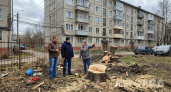 Хватит уже мазать пни селитрой и ждать год: знающие люди убирают их за 3 минуты по методу Циолковского