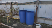 Одна бочка — и все грядки довольны: какое удобрение добавить в воду в мае, чтобы урожай удивил соседей