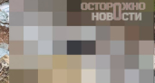 Жители деревень под Переславлем жалуются на работу закрытого приюта