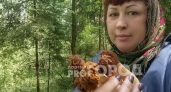 В Ярославских лесах начался грибной бум: корзины заполняются строчками