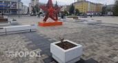 Как выглядит «сад с экраном» на площади Труда: вместо зелени — сухие кусты