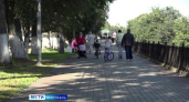 В Ярославской области 135 самозанятых застраховались от болезни с начала эксперимента