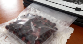 Почему все дачники скупают этот прибор на Wildberries: урожай больше не пропадает — свежие ягоды до зимы