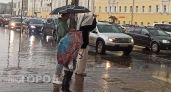 Гроза с порывами ветра до 17 м/с накроет отдельные районы Ярославской области 22 мая