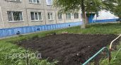 Полный запрет на грядки у дома - штрафы польются рекой уже в июне