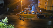 В Ярославле заметили банду лосей, которая гуляет за Волгой