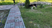 Обычные дорожки на даче уже колхоз: вот что теперь укладывают вместо них — соседи ахнут от зависти