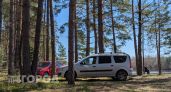 Вот почему в СССР не было клещей: забытые методы поражают