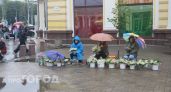  Спор из‑за ландышей на Кирова: бабушки торгуют краснокнижными цветами или «сорняком» с грядок?