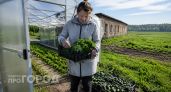 Продала квартиру и переехала в глушь: теперь понимаю, почему городская жизнь кажется мне пустой тратой сил