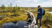 Больше никаких курортов: я нашел самое глубокое болото планеты, где природа пугает своей первобытной мощью