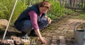 Забудьте про дорогую плитку: простой метод создания дачных дорожек из доступных материалов на долгие годы