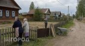 Заглянул в деревенские огороды и понял правду: почему сельские жители массово отказываются от грядок