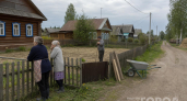 Как в старинных сёлах на Урале защищали дома от мышей и крыс: мудрость предков работает до сих пор
