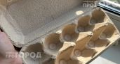 Перестала выбрасывать картонные лотки от яиц: они заменяют дорогие органайзеры и упрощают жизнь на даче